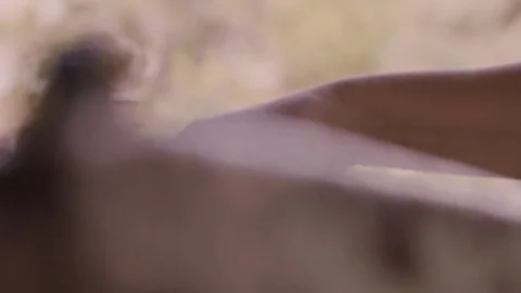 Squeezed grapes with a woman's hand Stock Footage 72186172