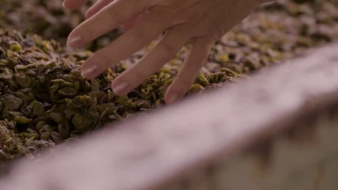 Squeezed grapes with a woman's hand Stock Footage 72186415