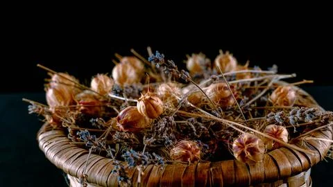 Squeezed lemon Stock Photos