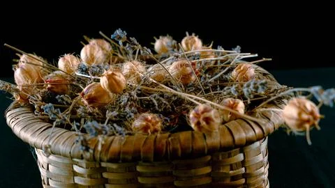 Squeezed lemon Stock Photos