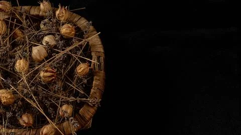 Squeezed lemon Foto stock