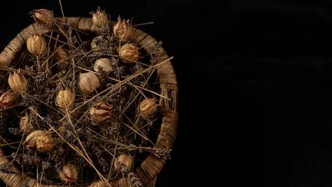 Squeezed lemon Stock Photos