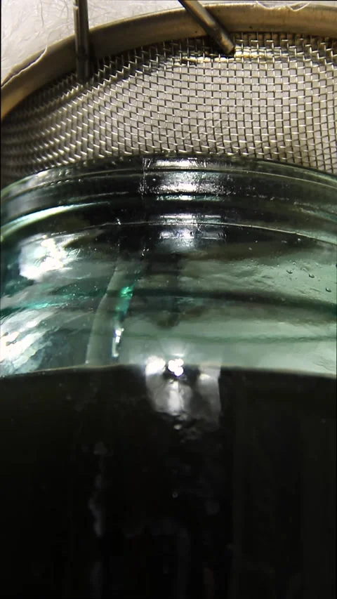 Squeezed oil dripping from the primary filter into a glass jar. Stock Footage 168888737