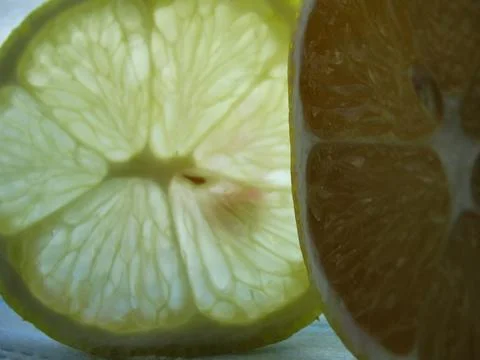 Squeezed old lemon on a white background. Stock Photos