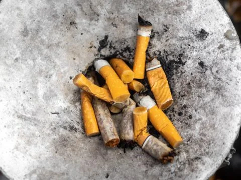 Squeezed remnants of cigarettes in an ashtray Foto stock