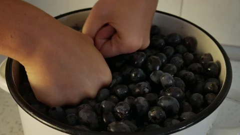 Squeezing Grapes with Bare Hands, Making Wine in the Kitchen Stock Footage 116552735