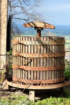 Squeezing grapes Stock Photos