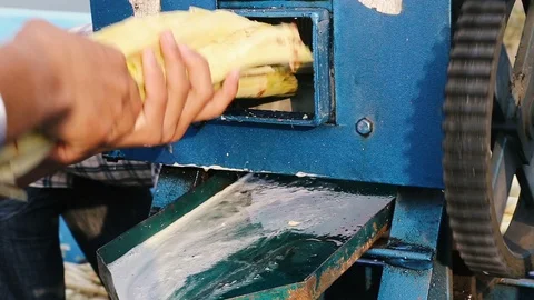 Squeezing juice from sugar cane in India. Stock Footage 103027310