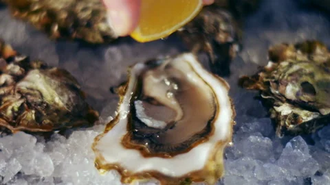 Squeezing lemon juice of oysters on the half shell. Seamless cinemagraph video Stock Footage 86206330