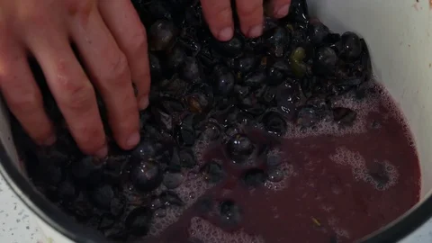 Squeezing Pink Grapes, Making Grape Juice, Making Wine Stock Footage 116553053