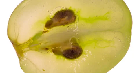 Squeezing a Single Green Grape 4K Vidéo 96282311