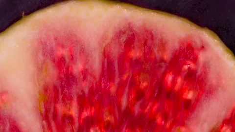 Squeezing a Slice of Ripe Fig HD Stock Footage 293703277