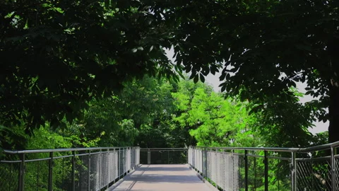 Squibb Park Bridge among glowing fresh green trees in Brooklyn in New York City Stock Footage 242294609