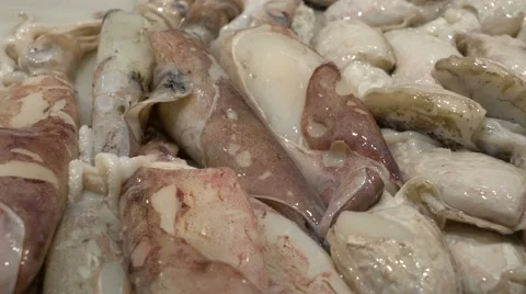 Squid and prawns on ice in a fish market.  Granada, Spain. Stock Footage 55741733