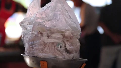 Squid in a bag is weighed in the local fish market Stock Footage 77536731