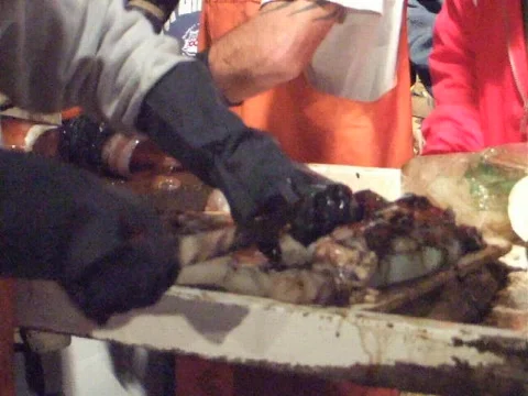 Squid cleaning Stock Footage 623260