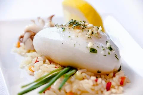 Squid dish on a white background Stock Photos