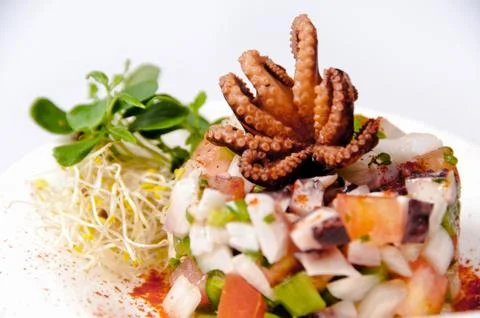 Squid dish on a white background Stock Photos