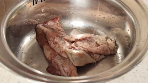 Squid fall into the sink. Seafood is poured out for washing and cleaning. Stock-Footage 142741423