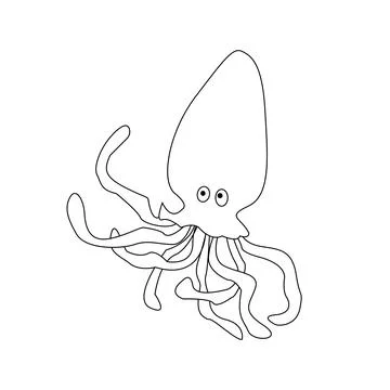 Squid, Fish collection. Illustrazione stock