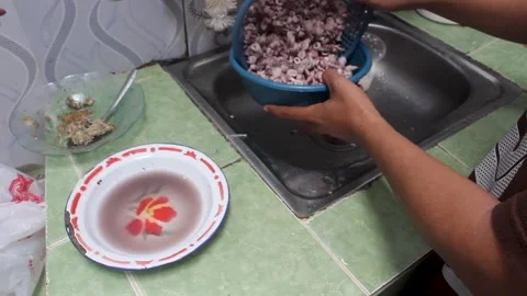 Squid Stock Footage 276148795