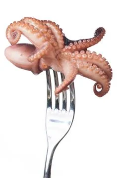 Squid on a fork on white background Stock Photos