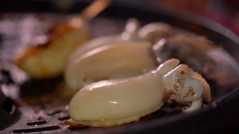 Squid grilling on hot pan for cooking, close up delicious seafood squid food  Stock Footage 152869761