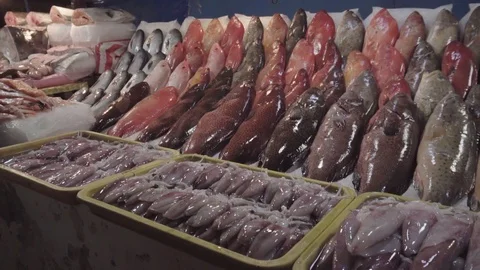 Squid Grouper Lapu-Lapu Fish for sale in Seafood Market Tracking Shot Video stock 88134315