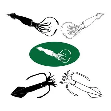Squid icon Stock Illustration