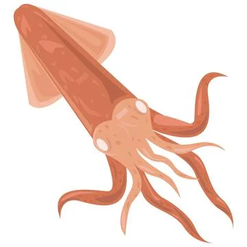 Squid Icon Vector Illustration On White Background. Isolated Squid Stock Illustration