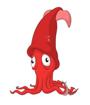 Squid Stock Illustration