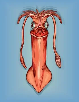Squid Illustrazione stock