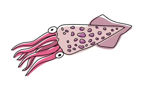 Squid isolated on transparent background. Fresh seafood. Stock Illustration