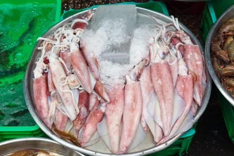 Squid on the market Stock Photos