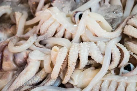 Squid in the market Stock Photos