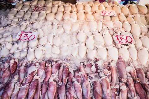 Squid in the market Stock Photos