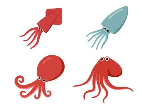 Squid, octopus and cuttlefish in flat, vector Stock Illustration