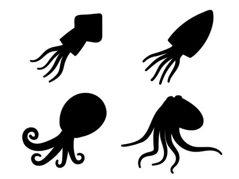 Squid, octopus and cuttlefish in icons and symbol Stock Illustration