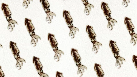 Squid pattern, ideal footage for themes such as Mediterranean cuisine, fishing Video stock 153614401
