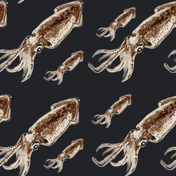 Squid pattern, ideal footage for themes such as Mediterranean cuisine, fishing Stock Illustration