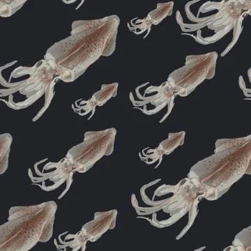 Squid pattern, ideal footage for themes such as Mediterranean cuisine, fishing Stock Illustration