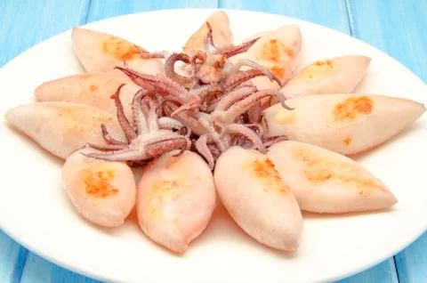 Squid Stock Photos