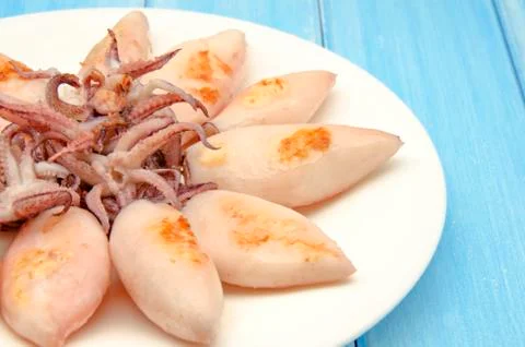 Squid Stock Photos