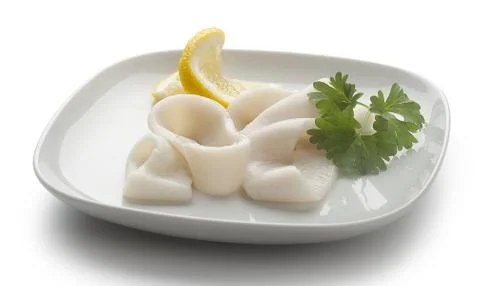 Squid Stock Photos