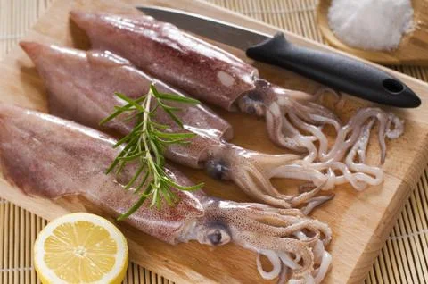 Squid Stock Photos