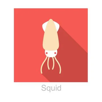 Squid seafood flat icon design vector illustration Stock Illustration