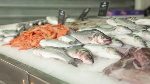 Squid, shellfish and fish from the night catch. The stalls of the fish market Stock Footage 110429458