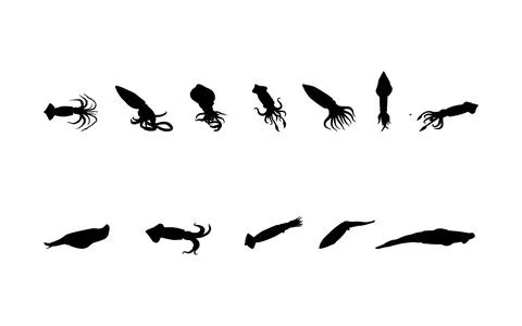 Squid Silhouette Collection Set 스톡 일러스트