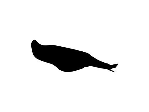 Squid Silhouette Isolated 스톡 일러스트