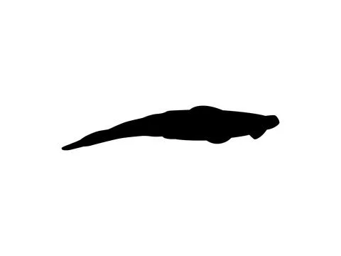 Squid Silhouette Isolated 스톡 일러스트